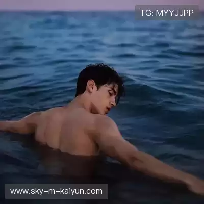 舒舜飚